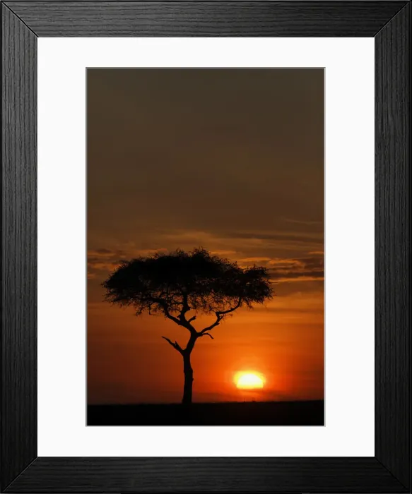 Framed Print : DDE-90019714 Framed Print : DDE-90019714