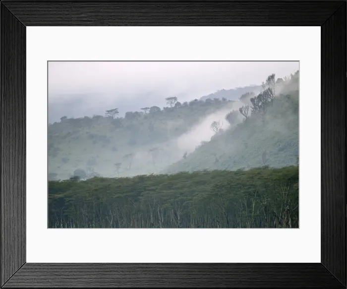 Framed Print : DDE-90019734 Framed Print : DDE-90019734