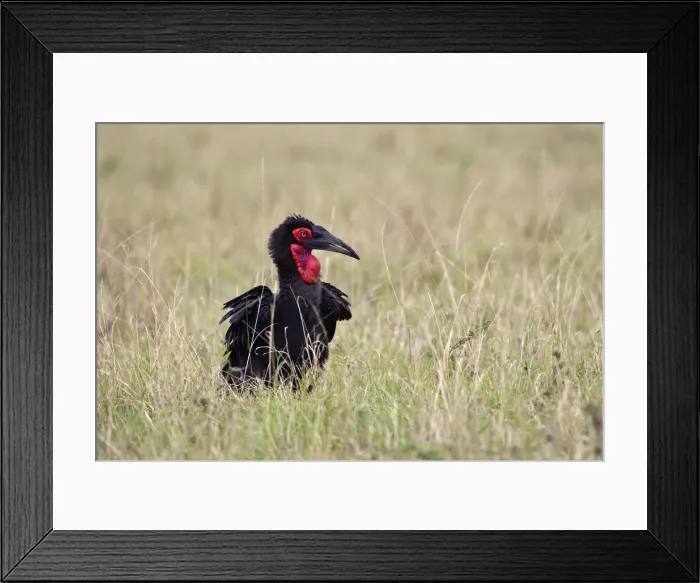 Framed Print : DDE-90019738 Framed Print : DDE-90019738