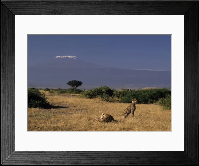 Framed Print : DDE-90019749 Framed Print : DDE-90019749
