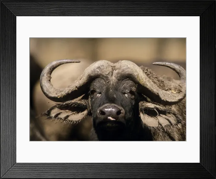 Framed Print : DDE-90019744