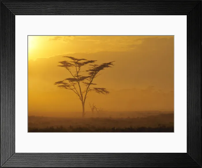 Framed Print : DDE-90019761 Framed Print : DDE-90019761