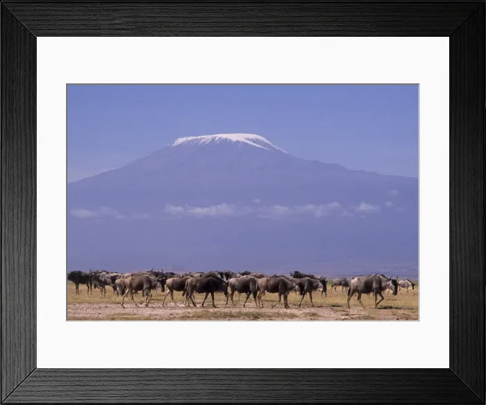 Framed Print : DDE-90019763 Framed Print : DDE-90019763
