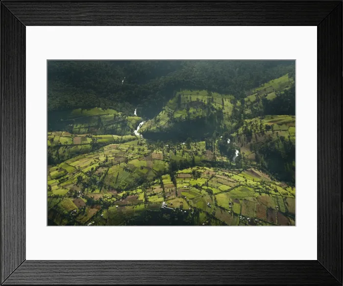 Framed Print : DDE-90019765