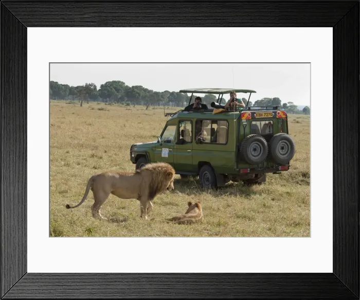 Framed Print : DDE-90019766 Framed Print : DDE-90019766