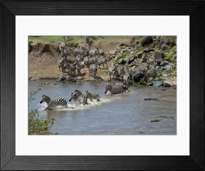 Framed Print : DDE-90019768 Framed Print : DDE-90019768