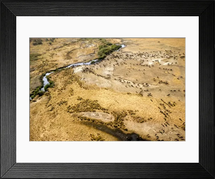 Framed Print : DDE-90019764 Framed Print : DDE-90019764