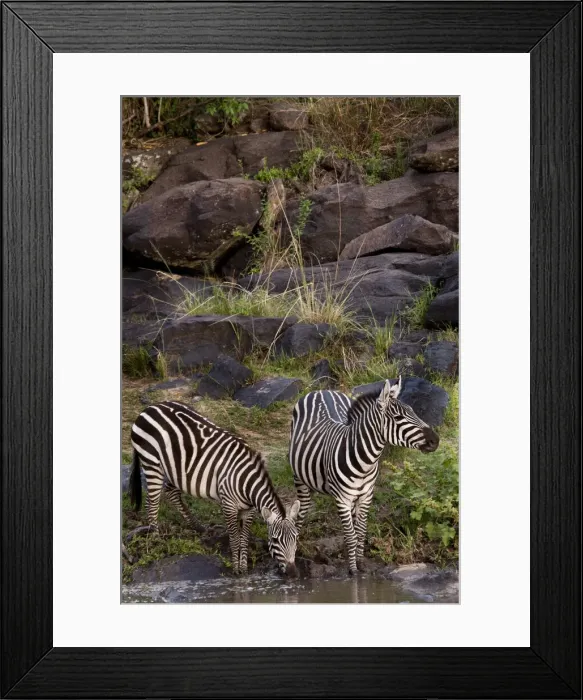 Framed Print : DDE-90019769 Framed Print : DDE-90019769