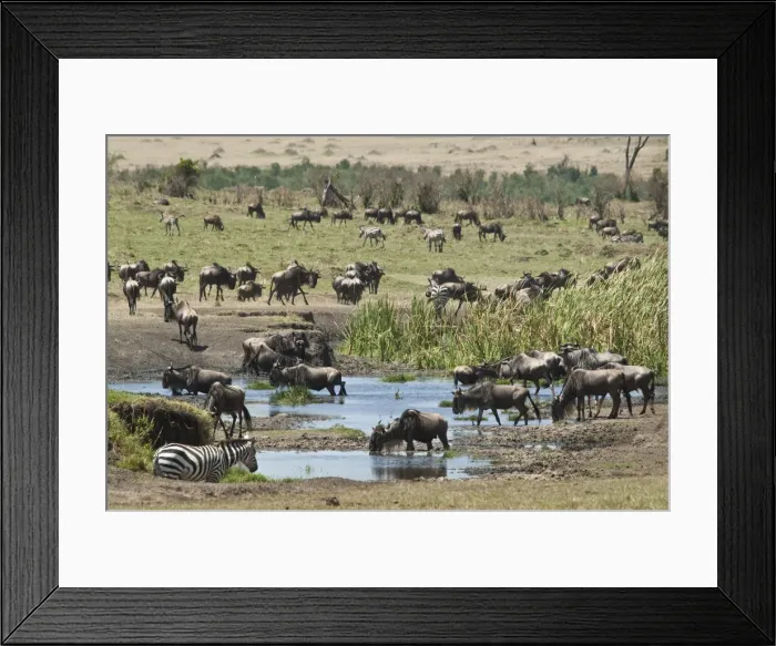 Framed Print : DDE-90019770 Framed Print : DDE-90019770