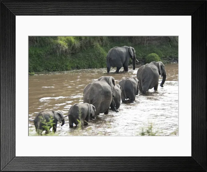 Framed Print : DDE-90019773