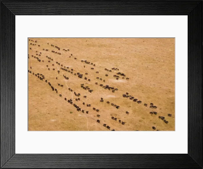 Framed Print : DDE-90019775 Framed Print : DDE-90019775