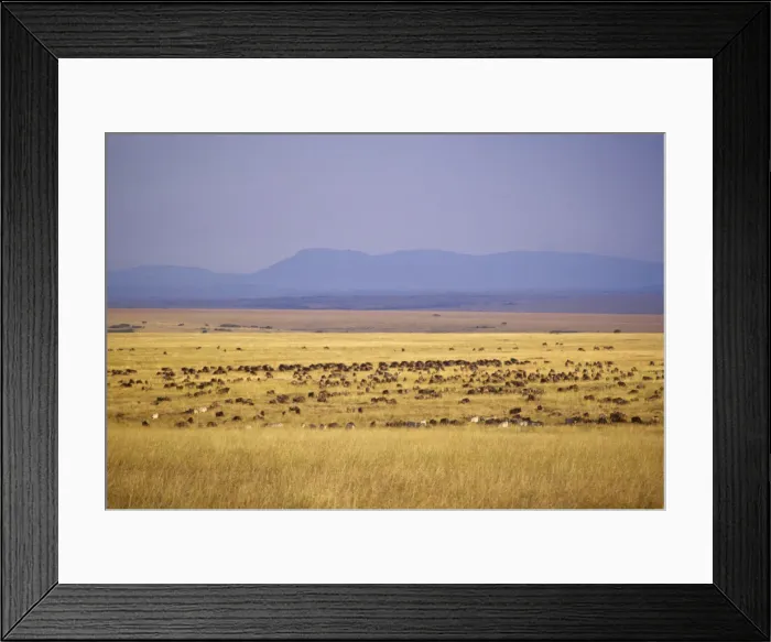 Framed Print : DDE-90019774 Framed Print : DDE-90019774