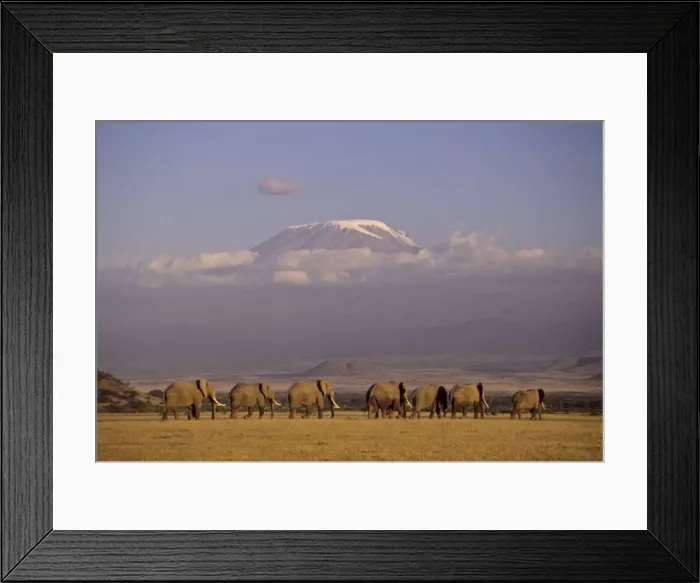 Framed Print : DDE-90019779 Framed Print : DDE-90019779