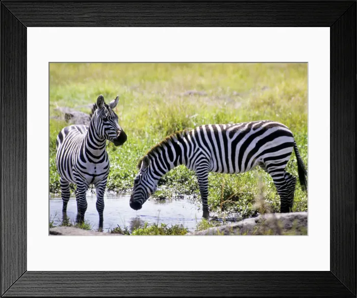 Framed Print : DDE-90019787