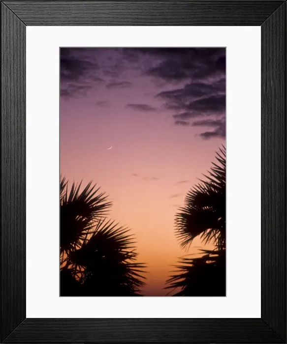 Framed Print : DDE-90019794 Framed Print : DDE-90019794