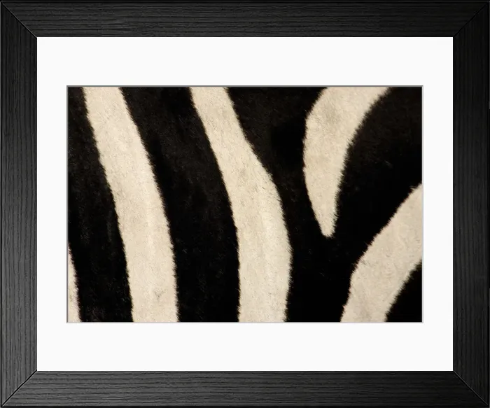 Framed Print : DDE-90019799 Framed Print : DDE-90019799