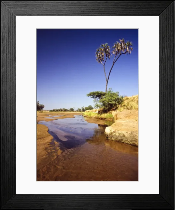 Framed Print : DDE-90019795 Framed Print : DDE-90019795