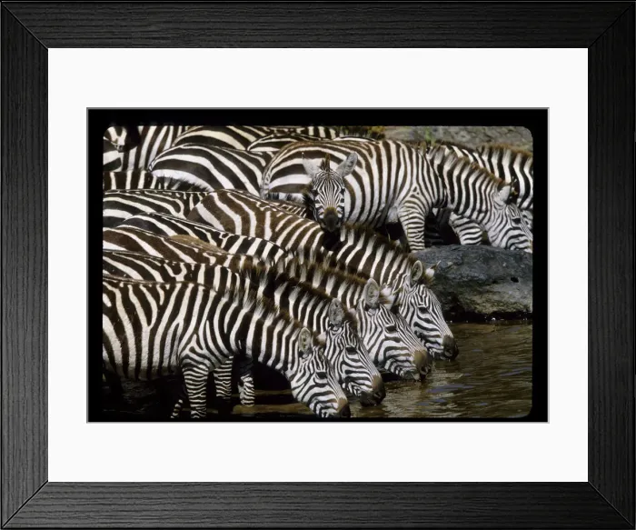 Framed Print : DDE-90019816 Framed Print : DDE-90019816