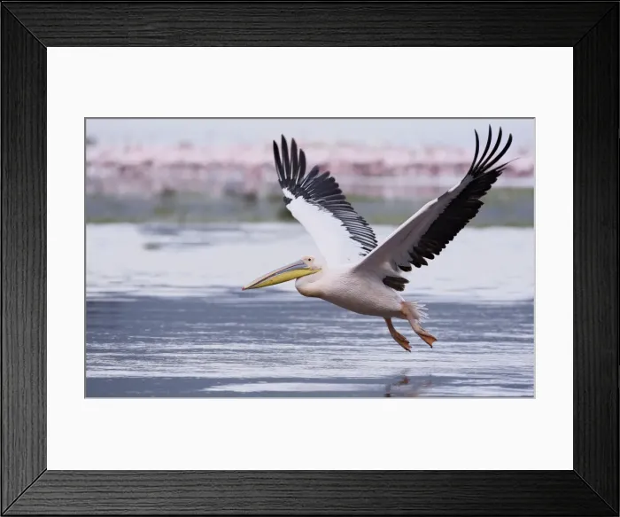 Framed Print : DDE-90019831 Framed Print : DDE-90019831