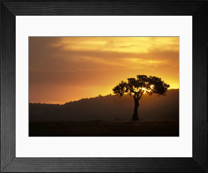 Framed Print : DDE-90019834 Framed Print : DDE-90019834