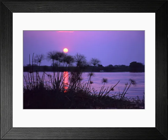 Framed Print : DDE-90019833 Framed Print : DDE-90019833