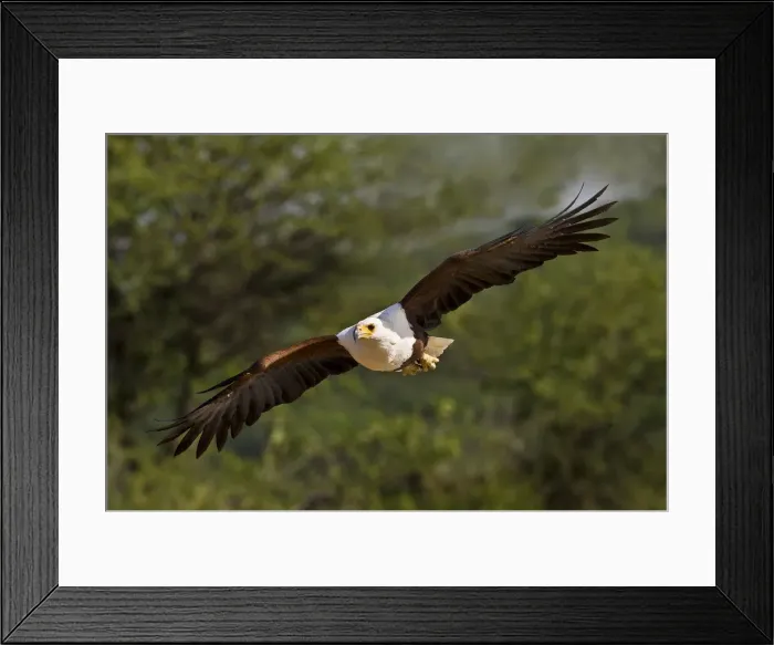 Framed Print : DDE-90019838 Framed Print : DDE-90019838