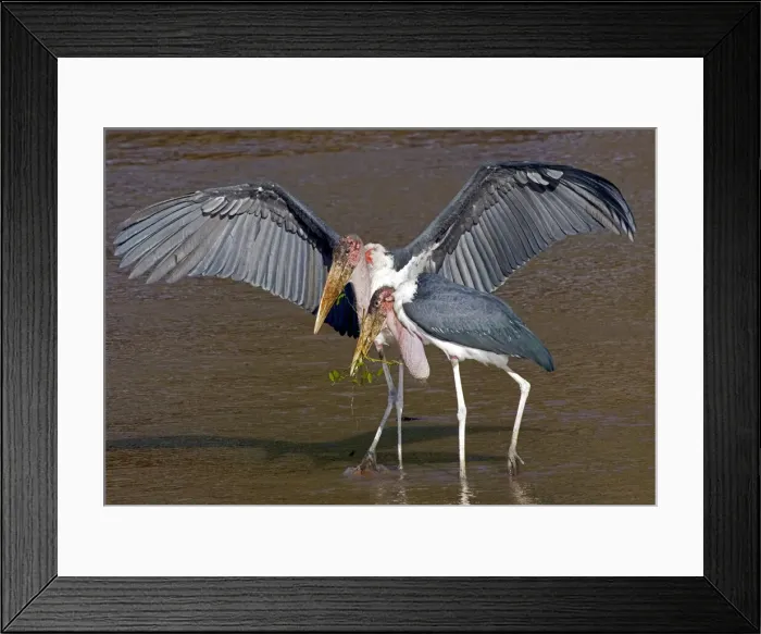 Framed Print : DDE-90019854 Framed Print : DDE-90019854