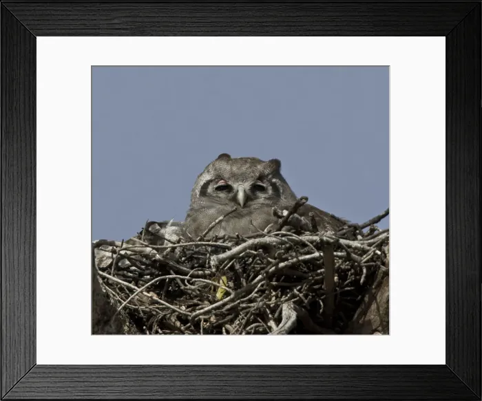 Framed Print : DDE-90019870 Framed Print : DDE-90019870