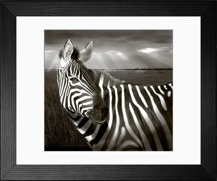 Framed Print : DDE-90019878 Framed Print : DDE-90019878