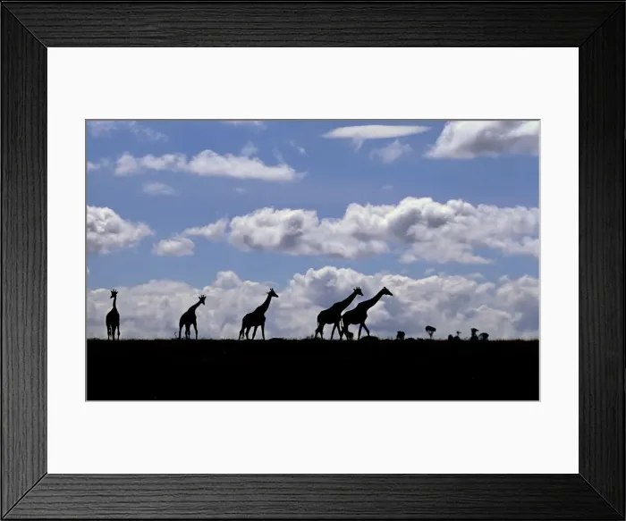 Framed Print : DDE-90019899 Framed Print : DDE-90019899