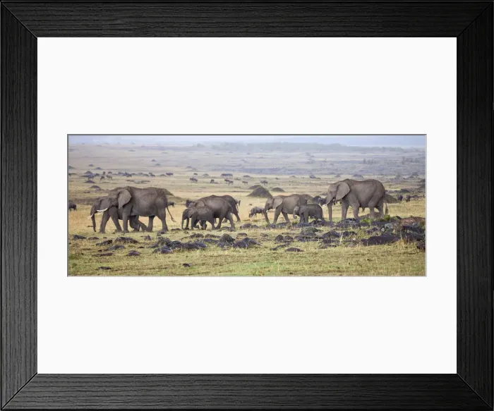 Framed Print : DDE-90019914 Framed Print : DDE-90019914