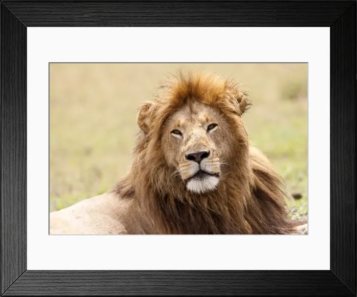 Framed Print : DDE-90019926 Framed Print : DDE-90019926