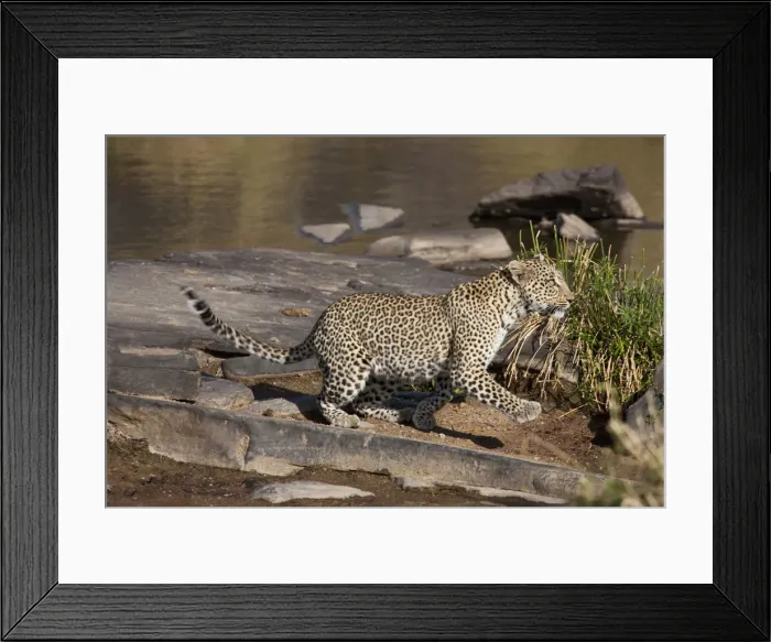 Framed Print : DDE-90019933 Framed Print : DDE-90019933