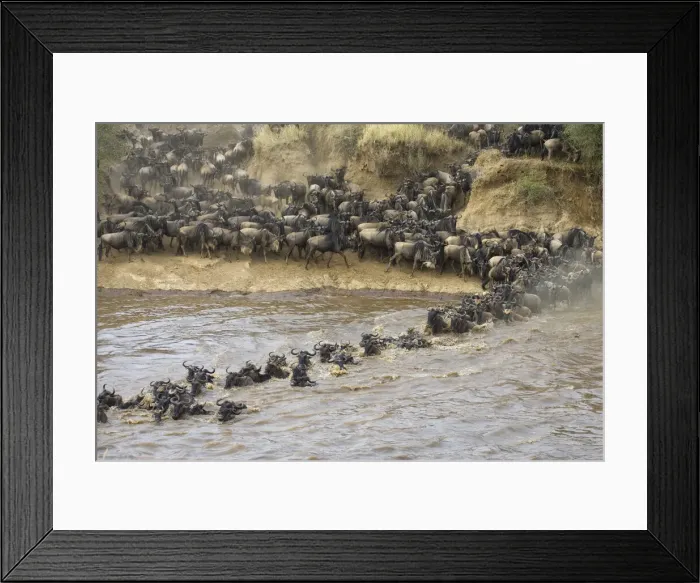 Framed Print : DDE-90019935 Framed Print : DDE-90019935