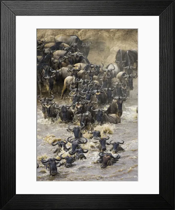 Framed Print : DDE-90019936 Framed Print : DDE-90019936