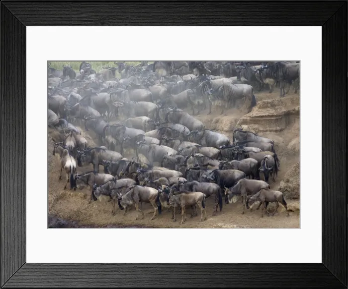 Framed Print : DDE-90019934 Framed Print : DDE-90019934