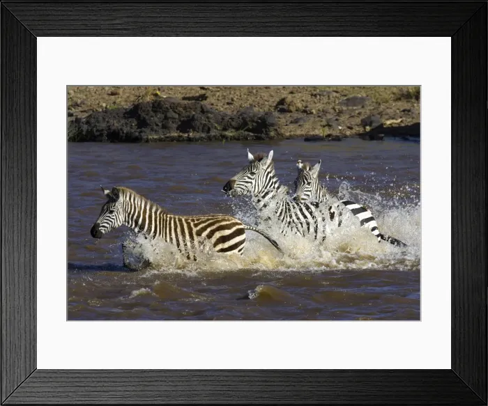 Framed Print : DDE-90019944 Framed Print : DDE-90019944