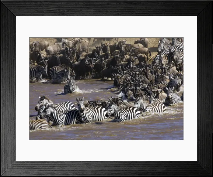 Framed Print : DDE-90019945