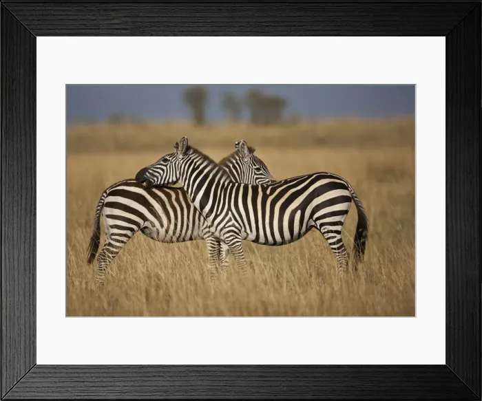 Framed Print : DDE-90019946 Framed Print : DDE-90019946