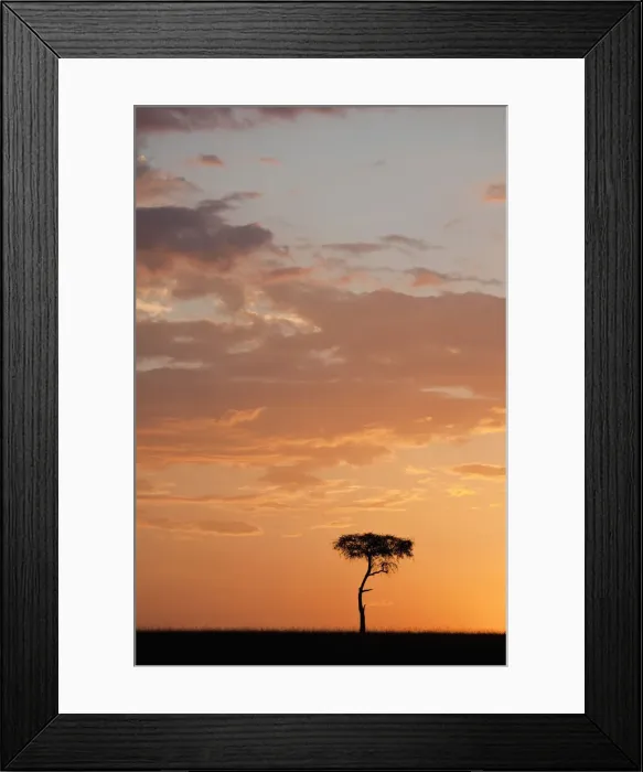 Framed Print : DDE-90019947 Framed Print : DDE-90019947