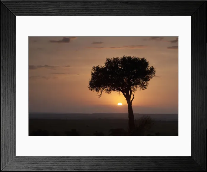 Framed Print : DDE-90019948 Framed Print : DDE-90019948