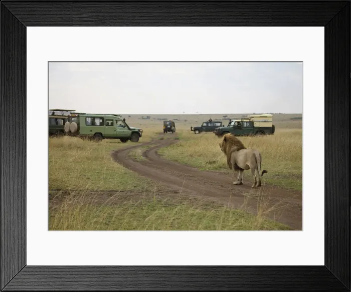Framed Print : DDE-90019949 Framed Print : DDE-90019949