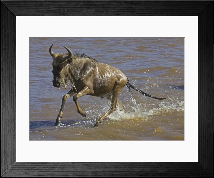 Framed Print : DDE-90019937 Framed Print : DDE-90019937