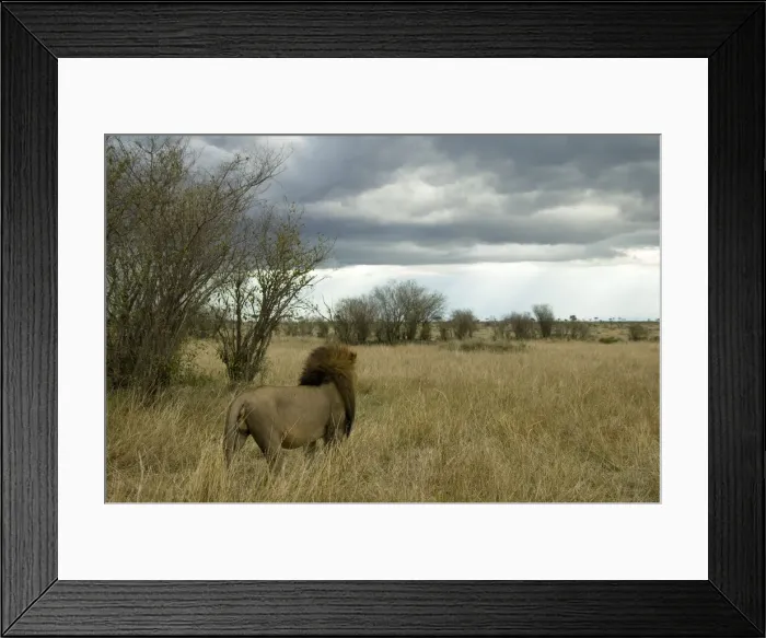 Framed Print : DDE-90020062 Framed Print : DDE-90020062