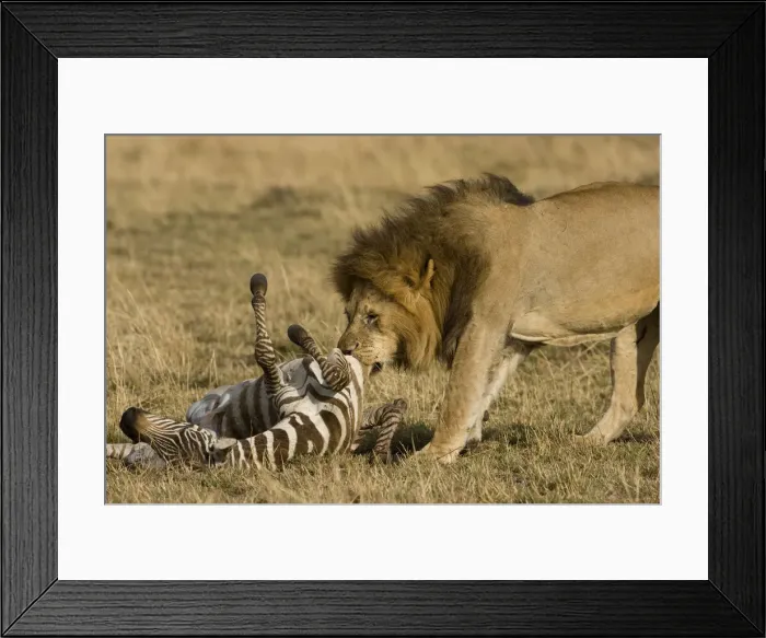 Framed Print : DDE-90020065