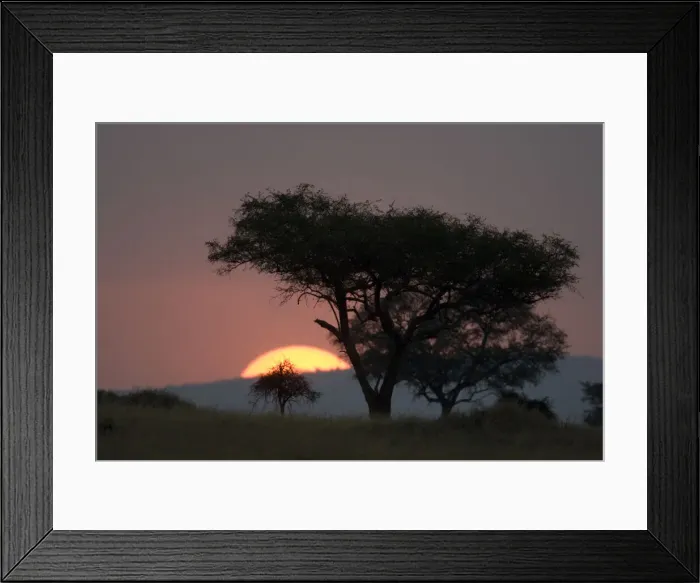 Framed Print : DDE-90020097 Framed Print : DDE-90020097