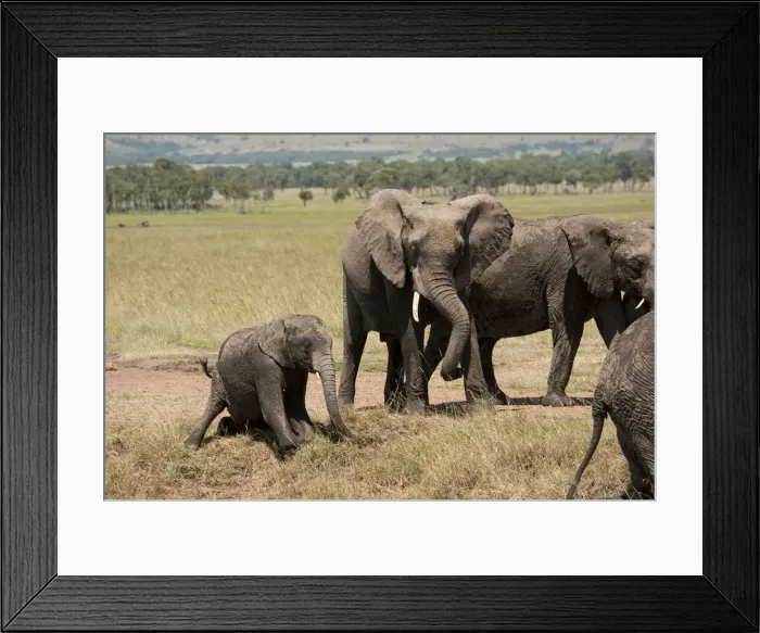 Framed Print : DDE-90020100 Framed Print : DDE-90020100