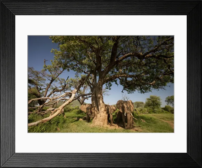Framed Print : DDE-90020102