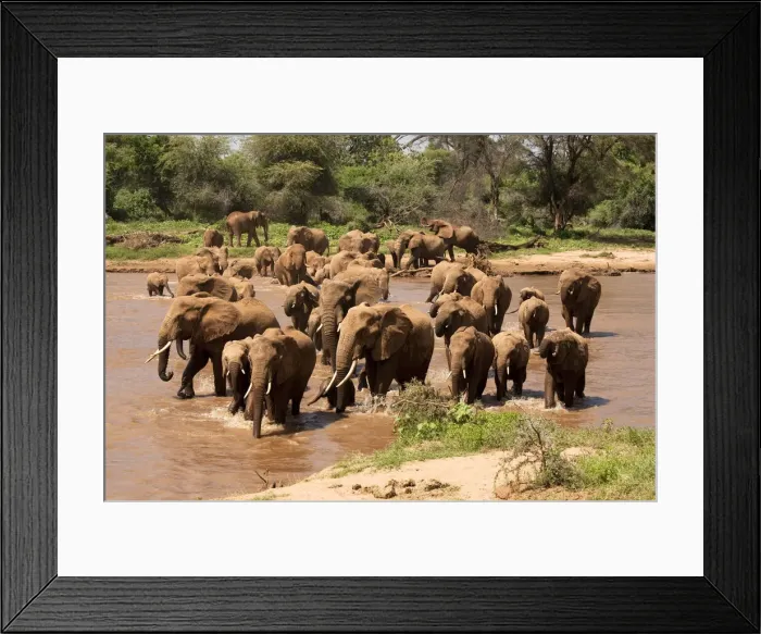 Framed Print : DDE-90020104 Framed Print : DDE-90020104