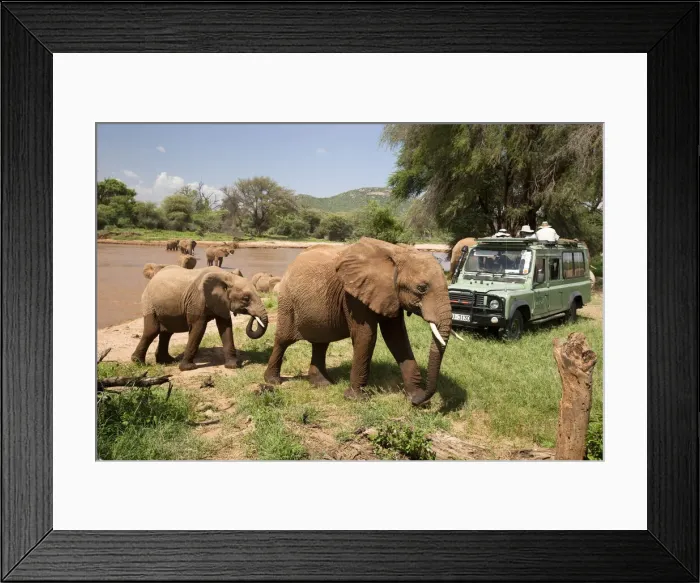 Framed Print : DDE-90020103 Framed Print : DDE-90020103